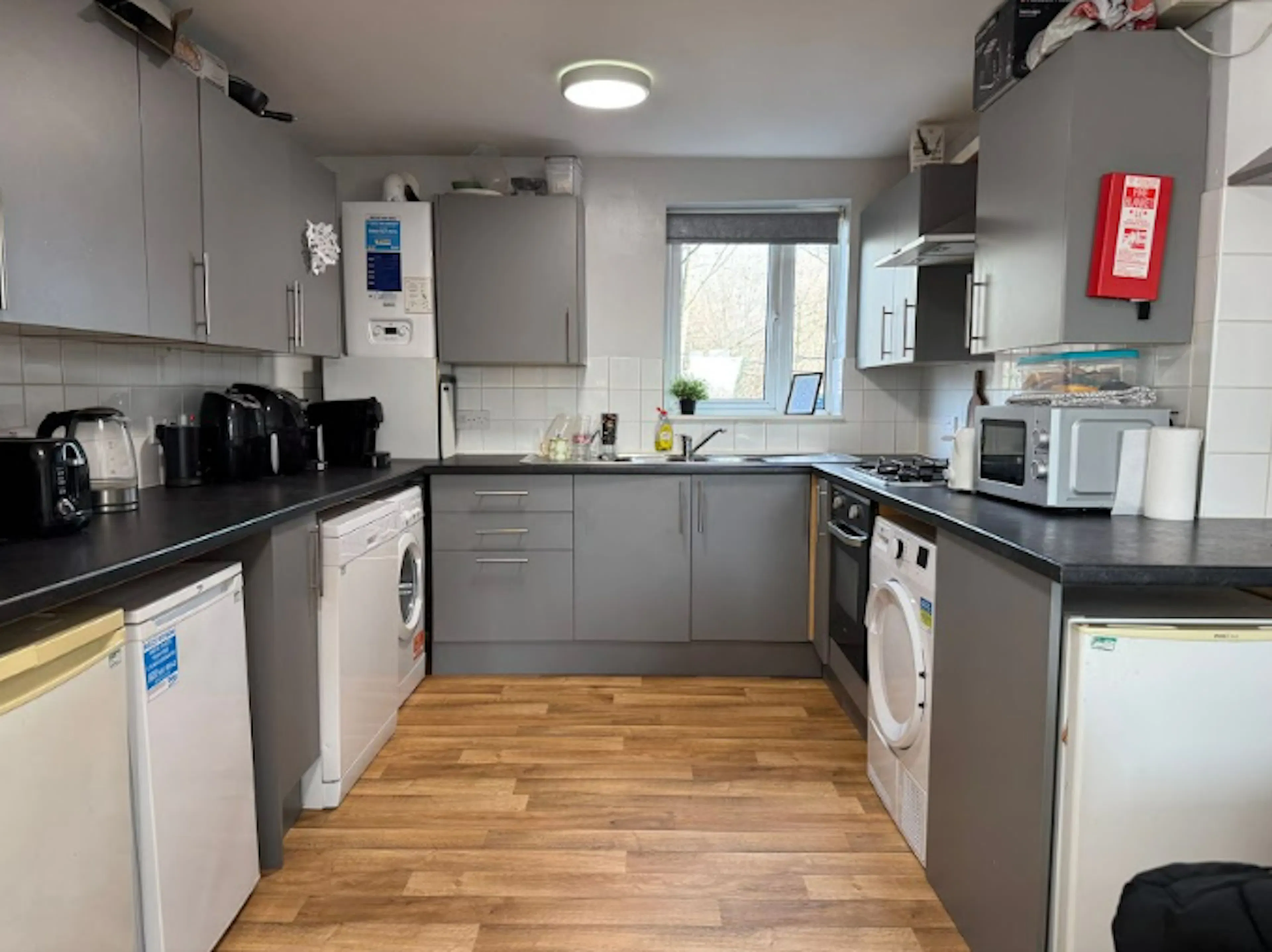 7 Bedroom Apartment (Shared Bath) KITCHEN 3