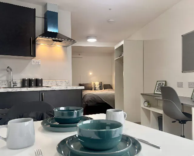 Premium Studio room image 3