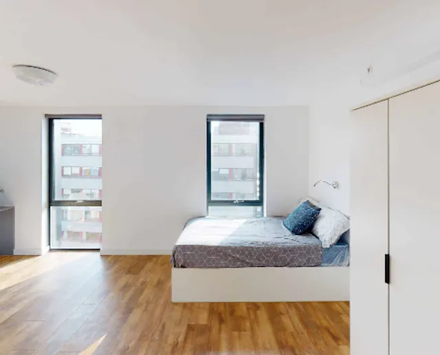 Deluxe Studio room image 1