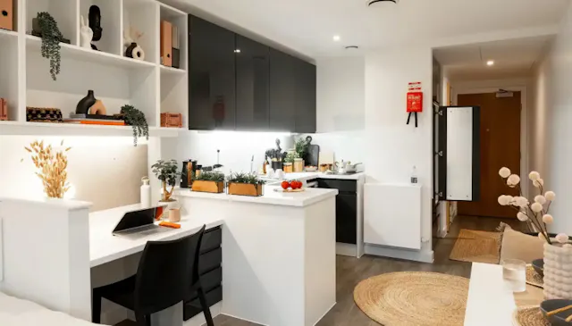 Super Elite Studio - Accessible room image 4