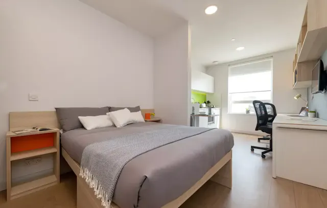 Luxury Plus Studio room image 1