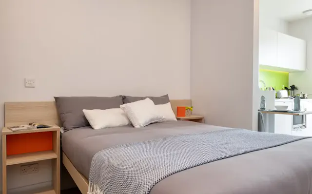 Luxury Plus Studio room image 2
