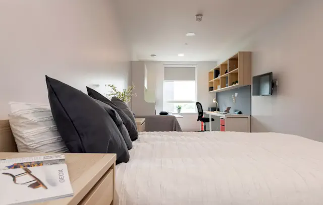 VIP Studio room image 7