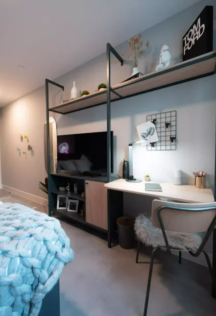 Mini Mezzanine Apartment room image 3