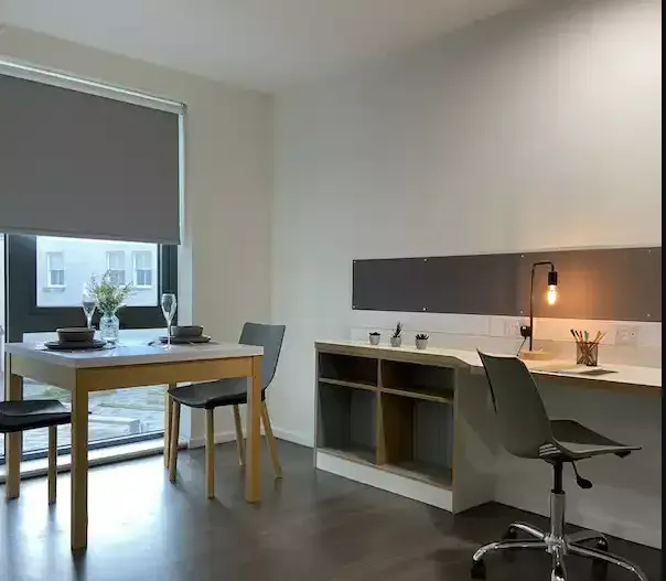 Studio Platinum Plus room image 2