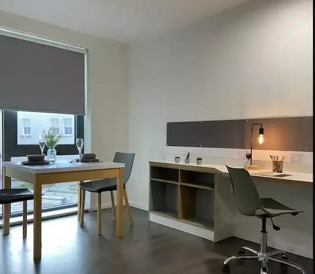 Studio Platinum Plus room image 2