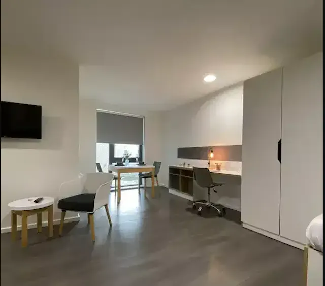 Studio Platinum Plus room image 4