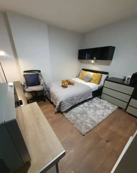 Deluxe Plus Studio