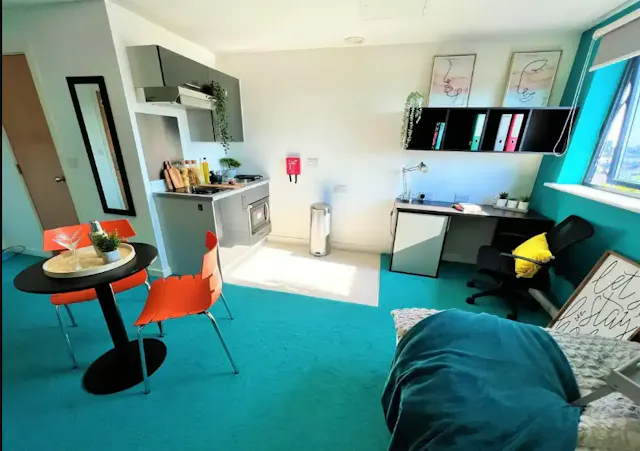 Premier Studio room image 7