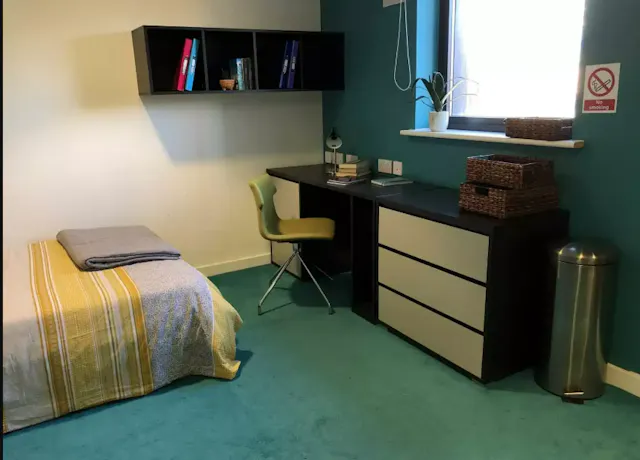 Premier Luxe Studio room image 3