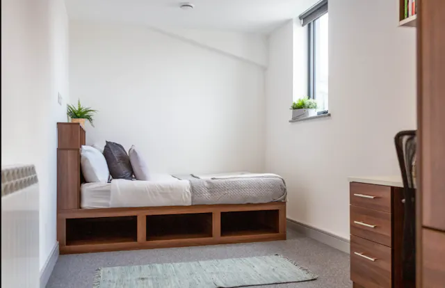 Standard Plus room image 17
