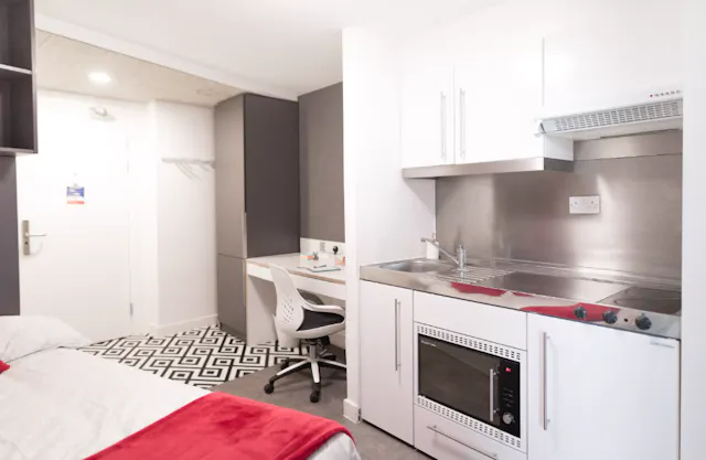 Platinum Studio  room image 2
