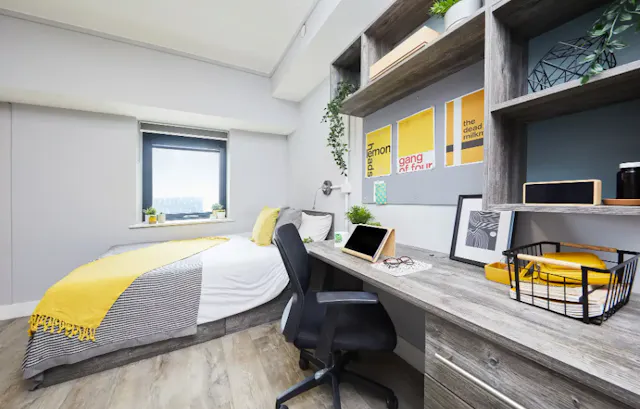 Large Studio Plus room image 1