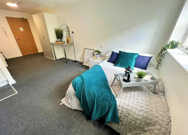 Premier Studio room image 5