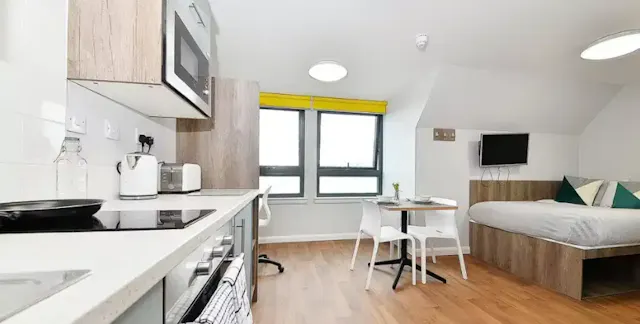 Silver Studio room image 2