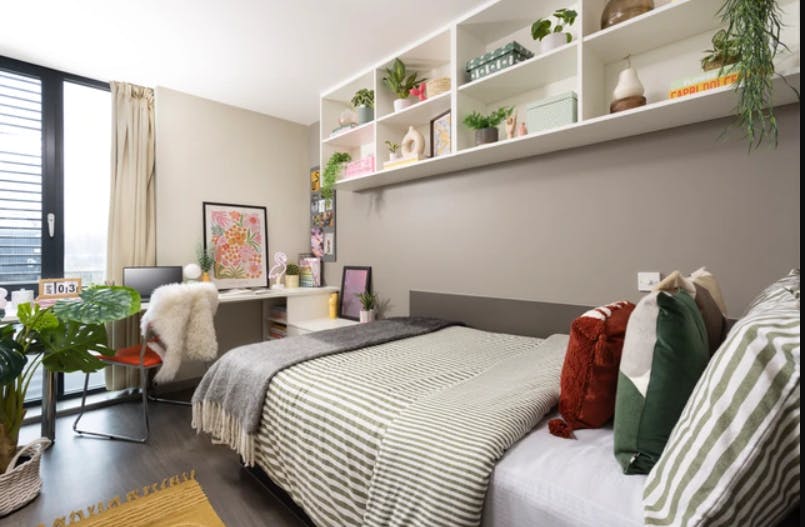 Classic Accessible Studio