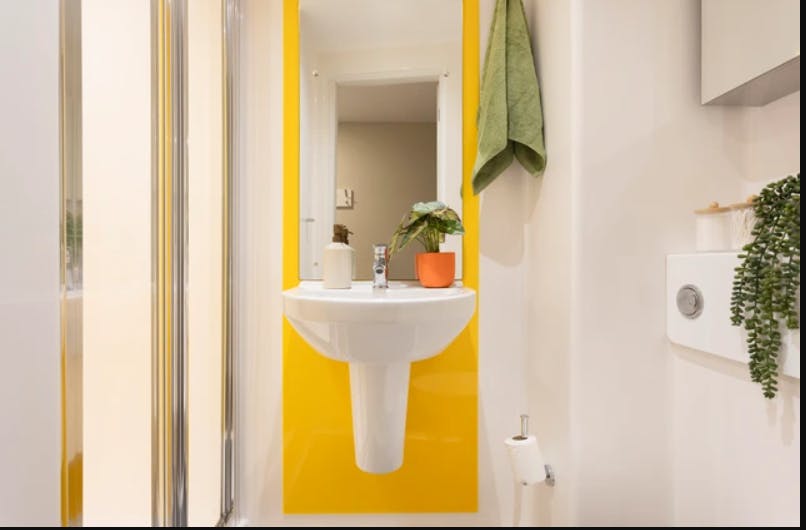 Classic Accessible Studio