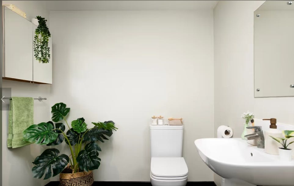Classic Accessible Studio