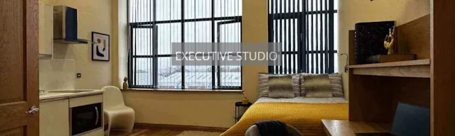Executive Studio room image 1