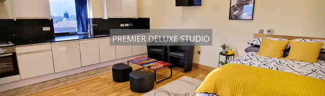 Premier Deluxe Studio room image 1