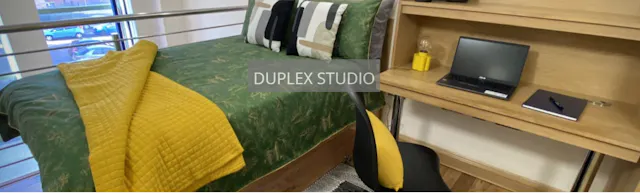 Duplex Studio room image 1