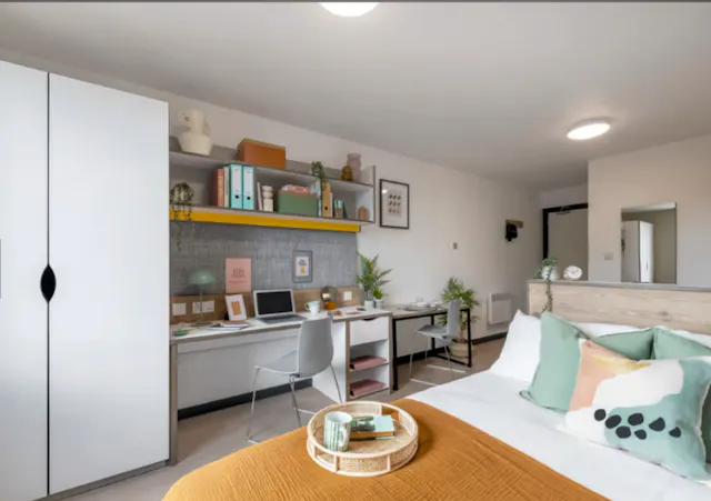 Premium Studio room image 1
