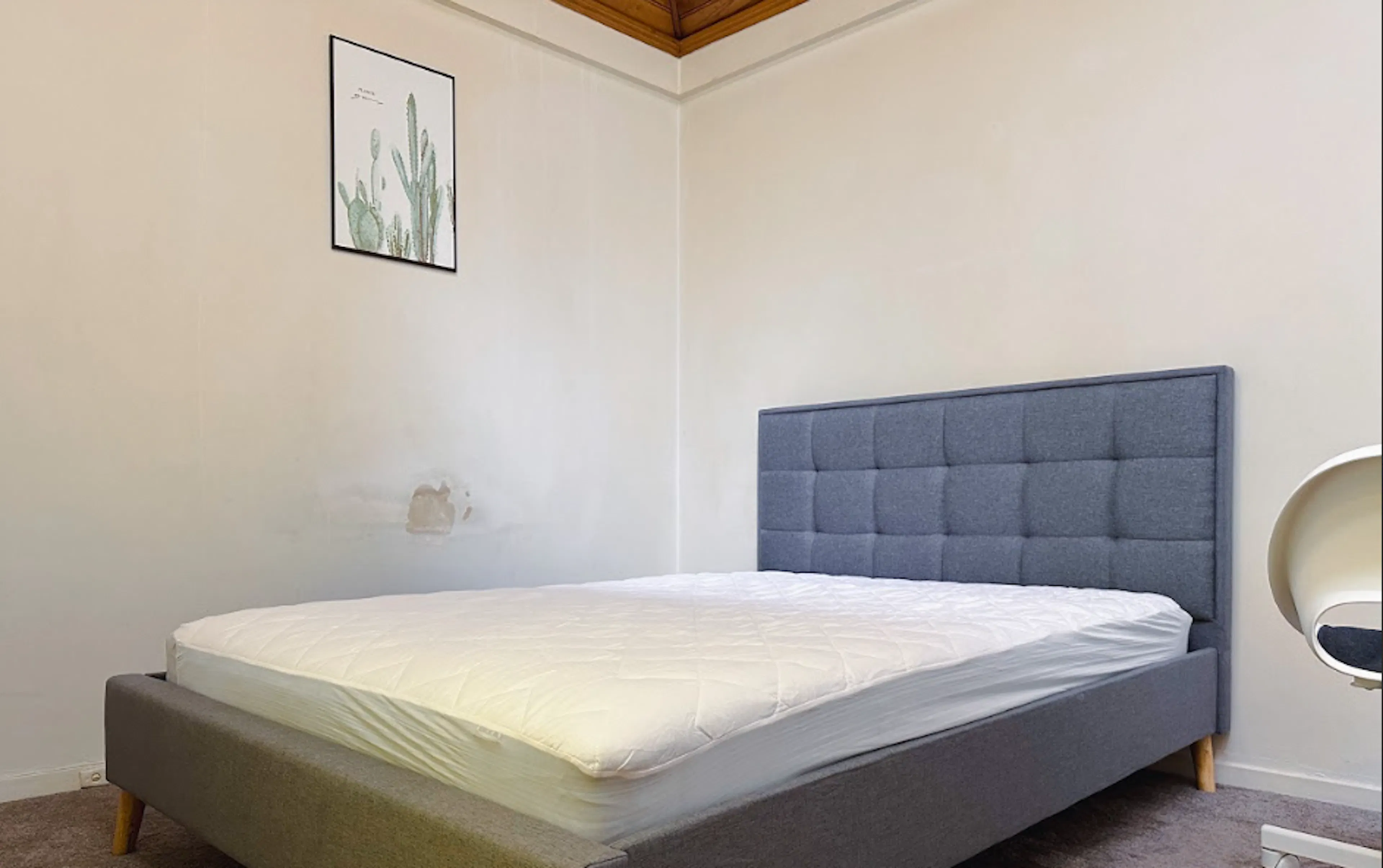2 Bedroom 1 Bathroom Apartment ROOM 3