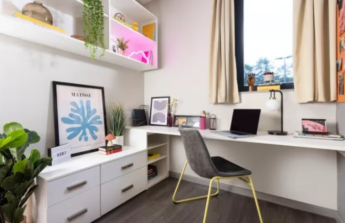 Extra large highest double Studio