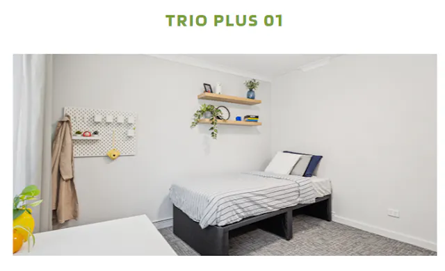 Trio Plus 01 room image 2