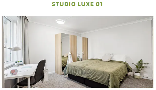 Studio Luxe 01 room image 2