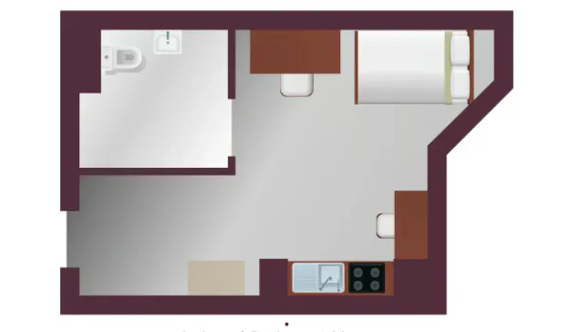 Deluxe Accessible Studio Plus