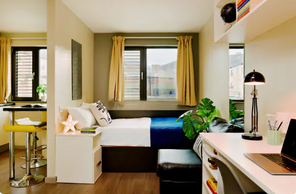 Silver Studio With Wet Room