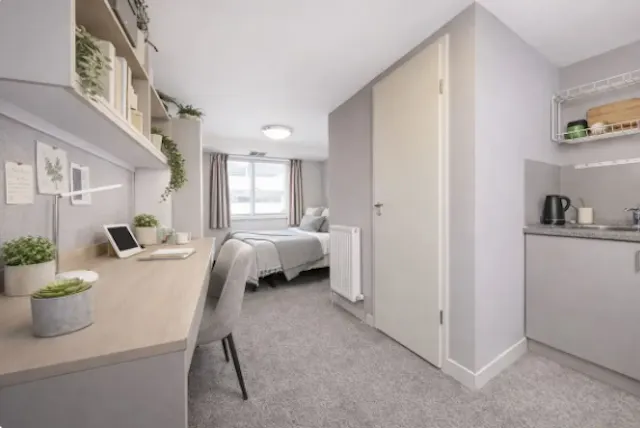 Deluxe King Studio room image 1