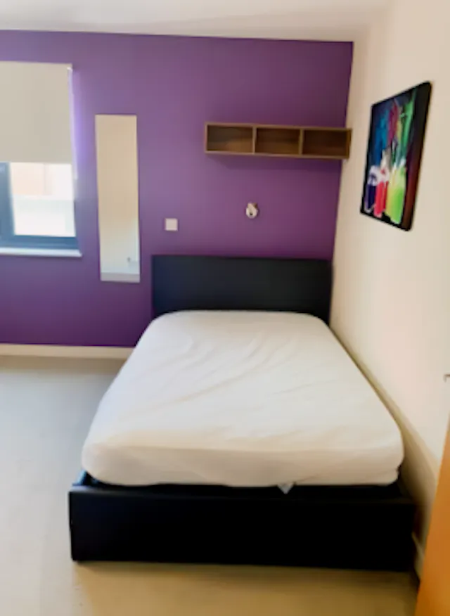 Premier Luxe En-Suite Behn Hall UK Guarantor not required room image 1