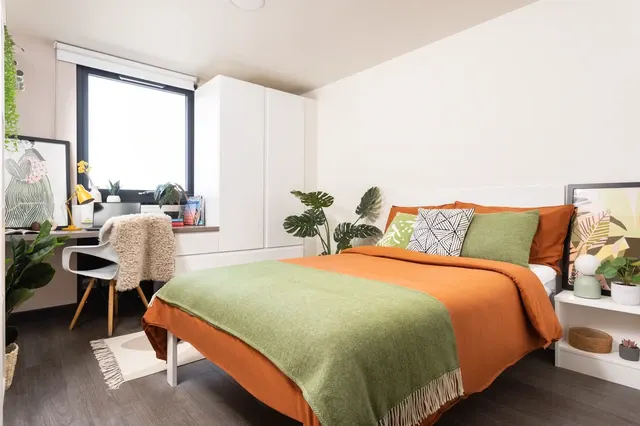 Large High Double Ensuite room image 1