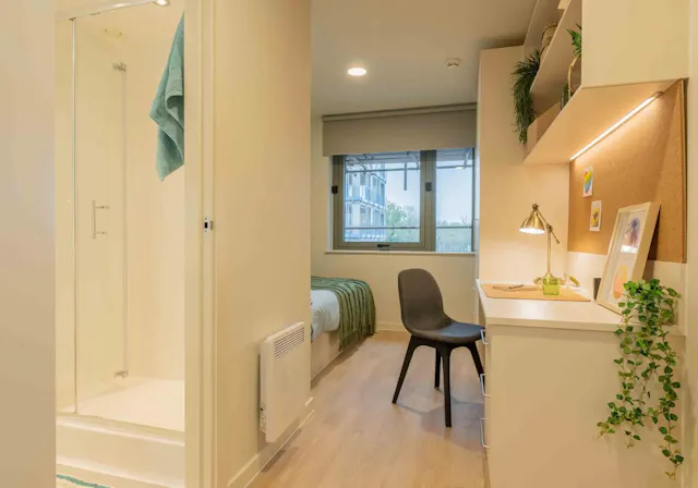 Gold En Suite room image 4
