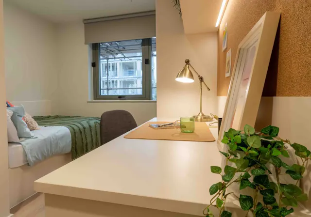Gold En Suite room image 2