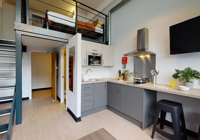 Silver Duplex Studio room image 2
