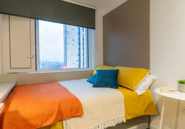 Silver En Suite Plus room image 1