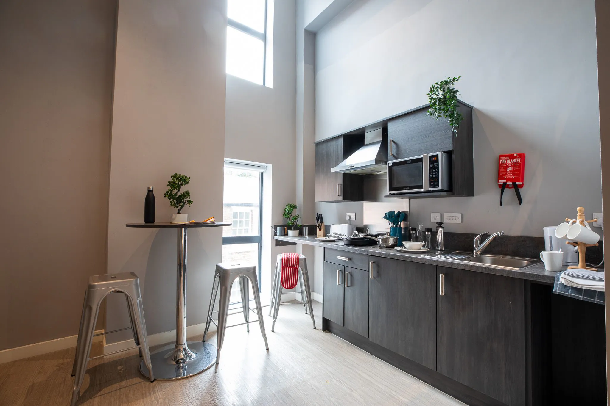 Silver Mezzanine Apartment