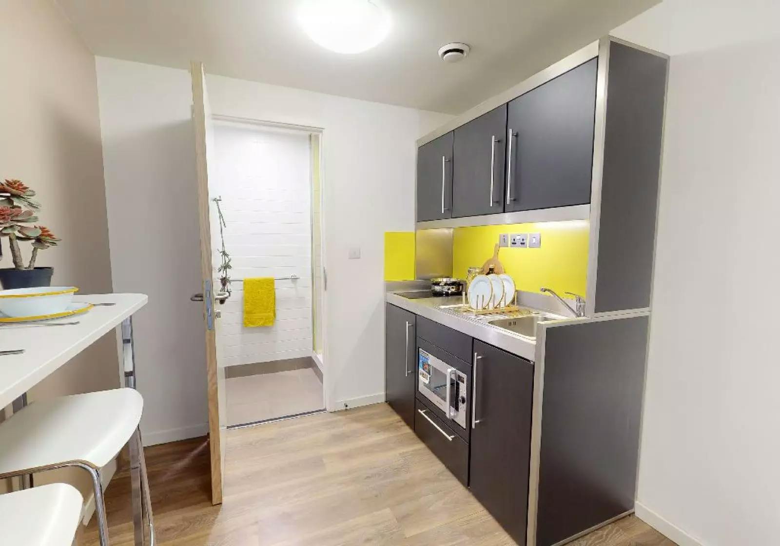 Silver One Bed Apartment