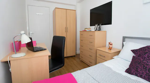 Silver Non-Ensuite Plus Room room image 2