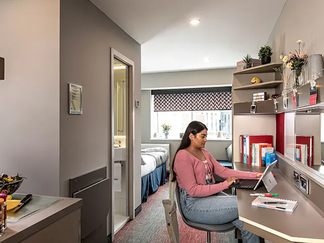 Silver Plus Studio  room image 1