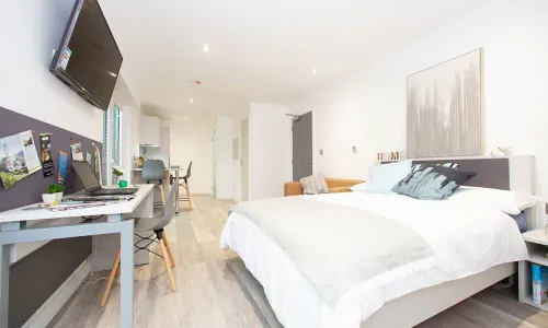 Silver Plus Studio ROOM