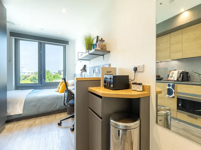 Silver Skyline Studio room image 2