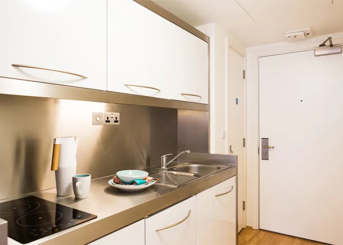 Silver Studio-Lower Level KITCHEN 1