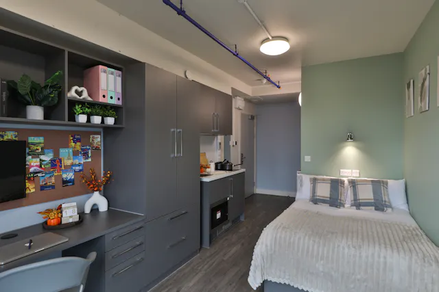 Silver Studio UK Guarantor not required room image 1