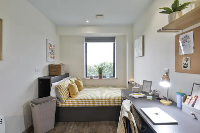 Silver Studio room image 1