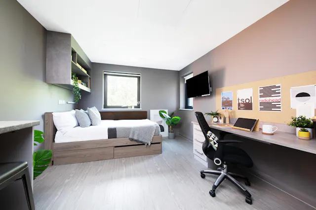 Silver Studio room image 1
