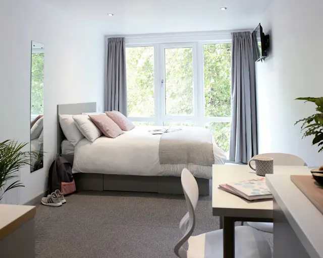 Silver Studio Deluxe room image 1